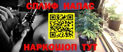 сатива Кулебаки