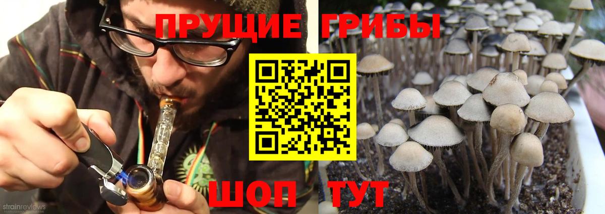 Учалы  Псилоцибиновые грибы ЛСД  Вход с VPN 